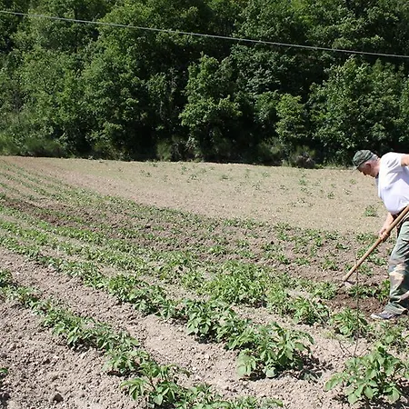 Agriturismo Il Casale Del Barone