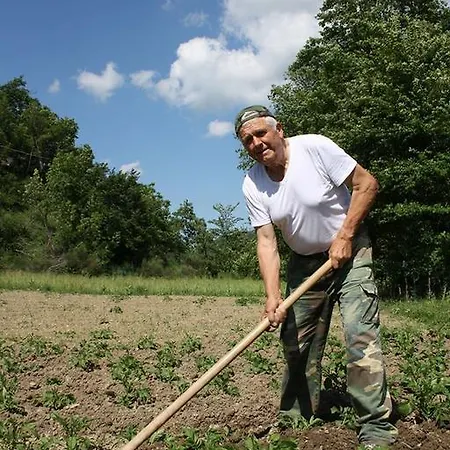 Agriturismo Il Casale Del Barone Agroturismo Mercatello sul Metauro