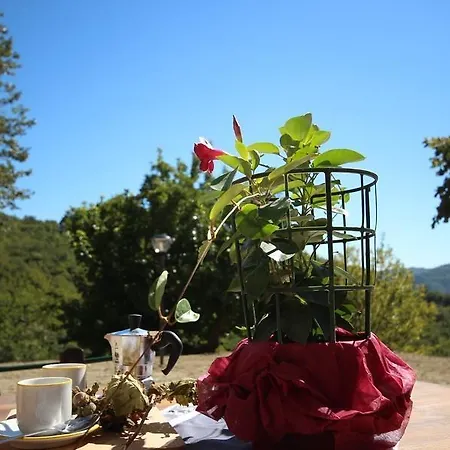 Agriturismo Il Casale Del Barone