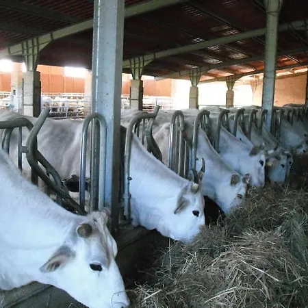 Agriturismo Il Casale Del Barone Mercatello sul Metauro